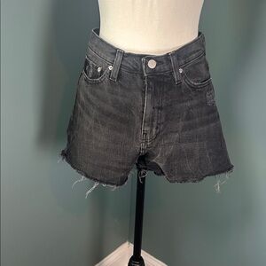 BDG Urban Outfitters Black Frayed Jean Shorts
